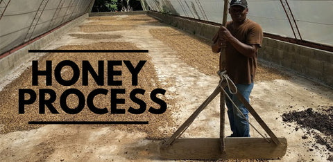 No Honey in Honey Process Coffee?!