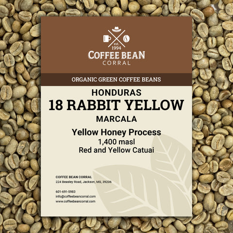 Honduras: Organic 18 Rabbit Yellow, Marcala