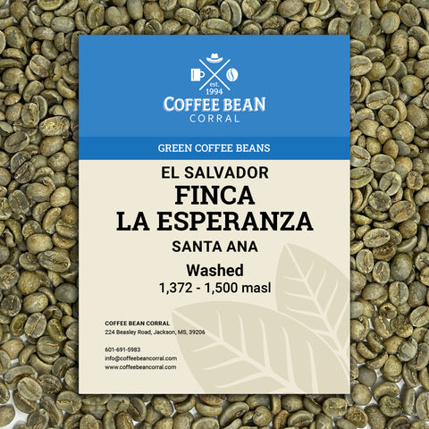 El Salvador: Finca La Esperanza, Santa Ana