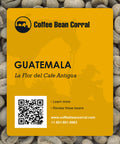 Guatemala: La Flor Del Cafe, Antigua
