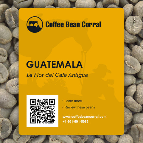 Guatemala: La Flor Del Cafe, Antigua