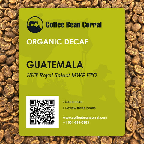 Guatemala: Decaf HHT Royal Select, Huehuetenango