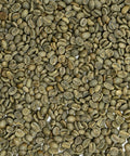 Mexico: Rancho San Francisco, Chiapas unroasted coffee beans