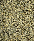 Honduras Kingdom Growers SHG
