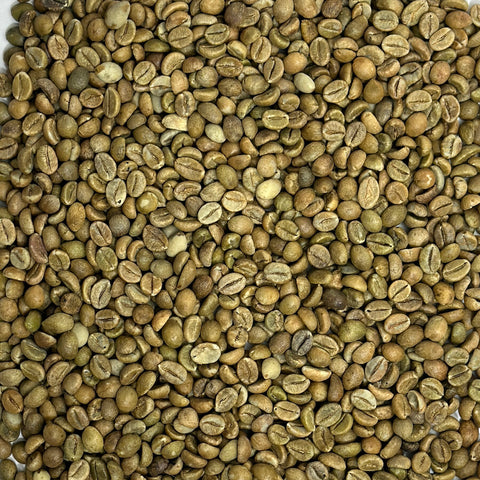 India: Cherry Robusta