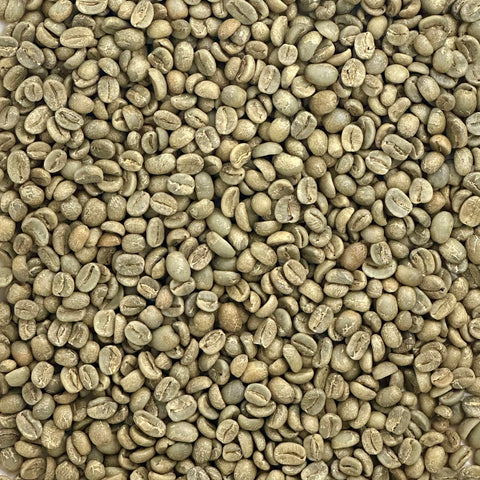 Apolo Coffee