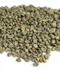 Honduras: Organic 18 Rabbit Washed, Marcala