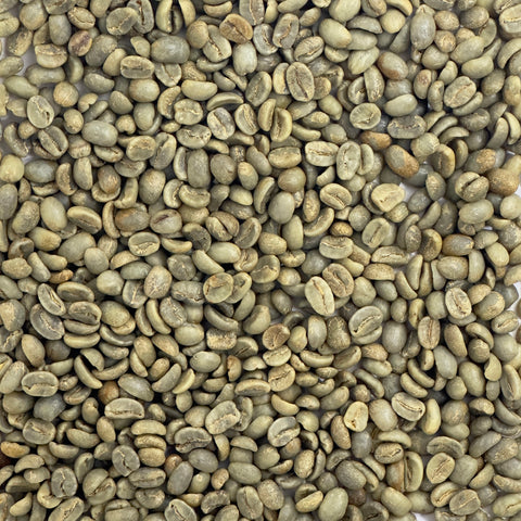 Organic 18 Rabbit Washed Coffee