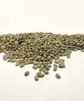 Panama: Janson Farms Geisha, Volcan High Lands