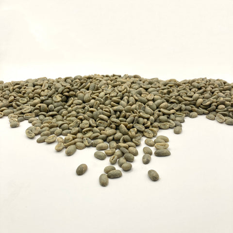 Panama: Janson Farms Geisha, Volcan High Lands
