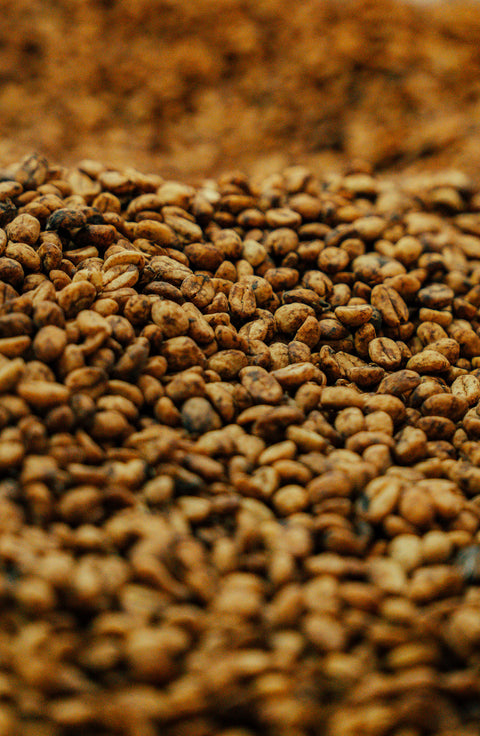 Colombia: Los Cedros Exotic Pink Bourbon, Ebejico