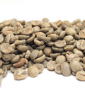 Brazil Oberon Cerrado