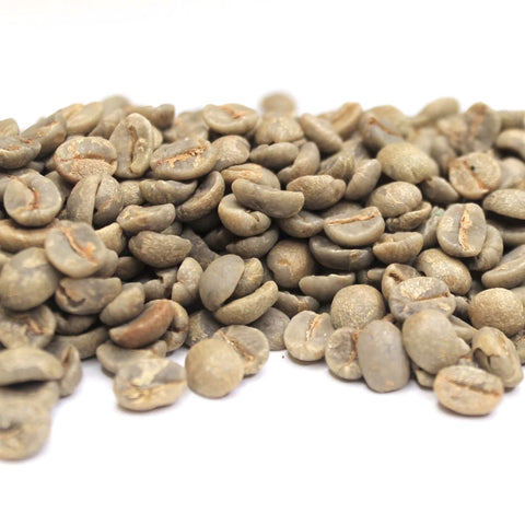 Brazil Oberon Cerrado